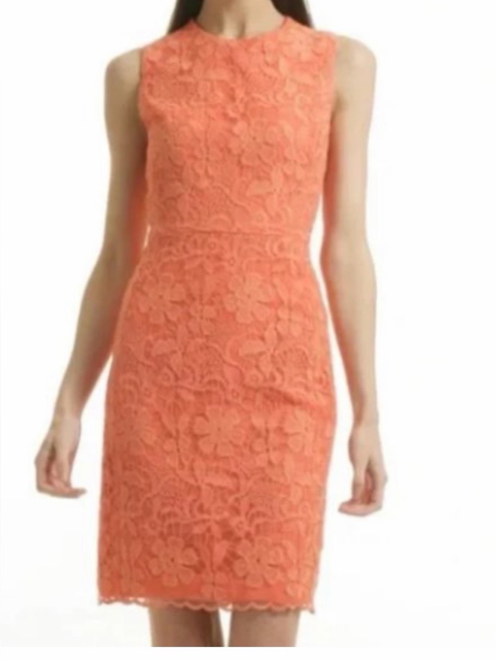 Belle Badgley Mischka Coral Lace Midi Dress